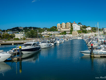 Alan Lloyd Photography Torbay, Portfolio